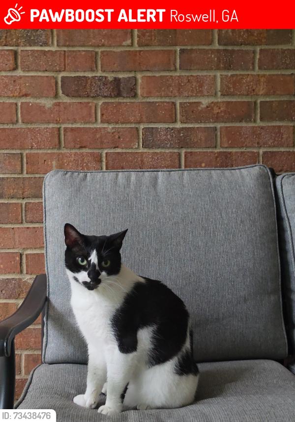Lost Female Cat last seen My hse, Roswell, GA 30076