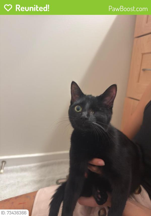 Reunited Male Cat last seen Southern Adventist University, Collegedale, TN 37363