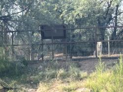 Found/Stray Unknown Dog last seen Bike trail, Tucson, AZ 85712