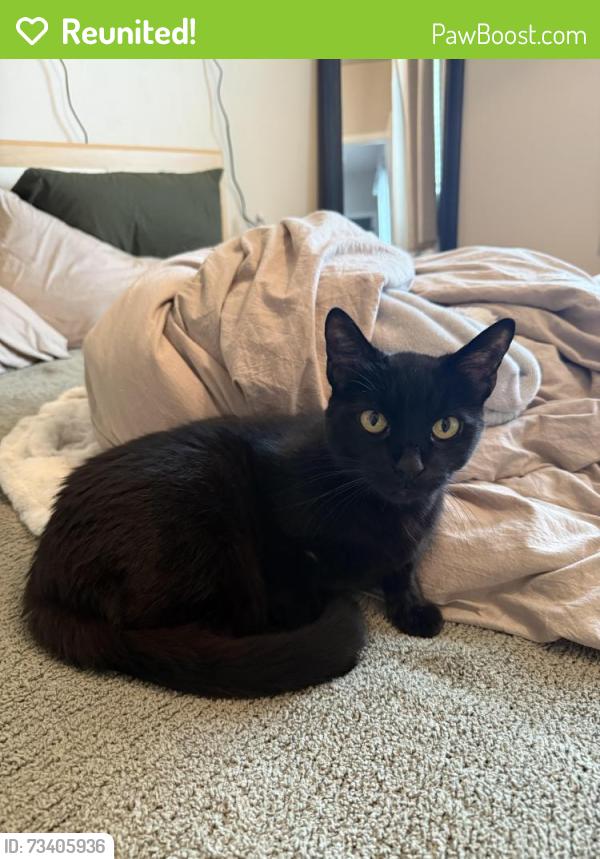 Reunited Male Cat last seen Asterion apmts, Menasha, WI 54952
