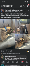 Found/Stray Male Dog last seen Highway 20 Talquin General Store, Tallahassee, FL 32310