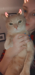 Reunited Male Cat last seen North Moore Rd, Chattanooga, TN 37411