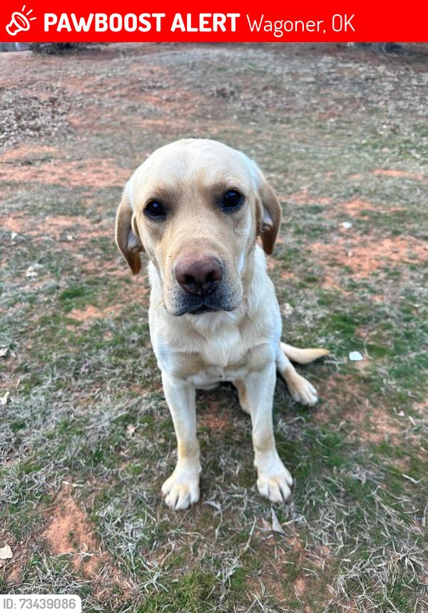 Lost Male Dog last seen Whitehorn Cove Area, Wagoner, OK 74467