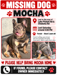 Lost Female Dog last seen Lake Pickett rd, Orlando, FL 32820
