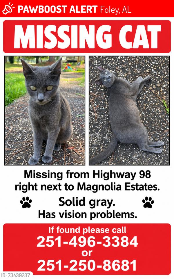Lost Female Cat last seen Near US Highway 98 Foley, AL 36535, Foley, AL 36535