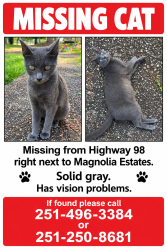 Lost Female Cat last seen Near US Highway 98 Foley, AL 36535, Foley, AL 36535