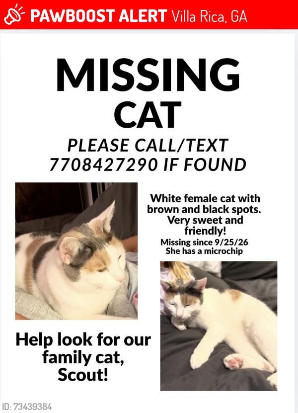 Lost Female Cat last seen Lakeview pkwy, Villa Rica, GA 30180