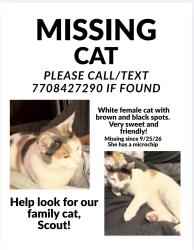 Lost Female Cat last seen Lakeview pkwy, Villa Rica, GA 30180