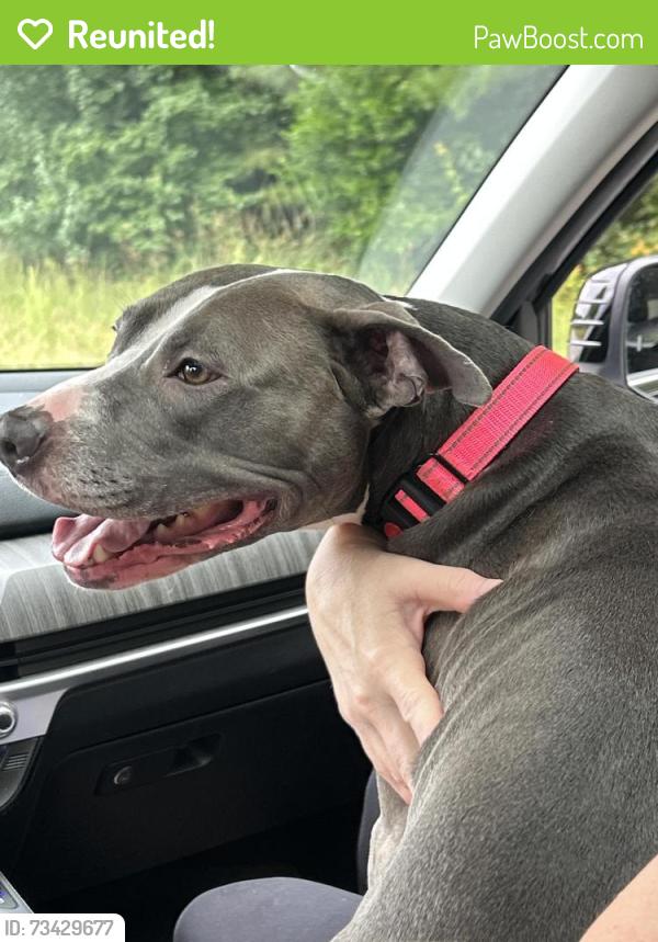 Reunited Female Dog last seen East Paulding Dr and Fox Creek Dr, Paulding County, GA 30157