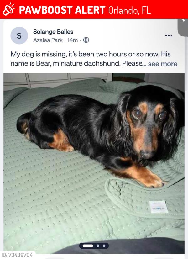 Lost Male Dog last seen Leighton Way, Colton Dr, Barksdale Dr, Goldenrod Rd, Curry Ford Rd., Orlando, FL 32822