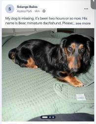 Lost Male Dog last seen Leighton Way, Colton Dr, Barksdale Dr, Goldenrod Rd, Curry Ford Rd., Orlando, FL 32822