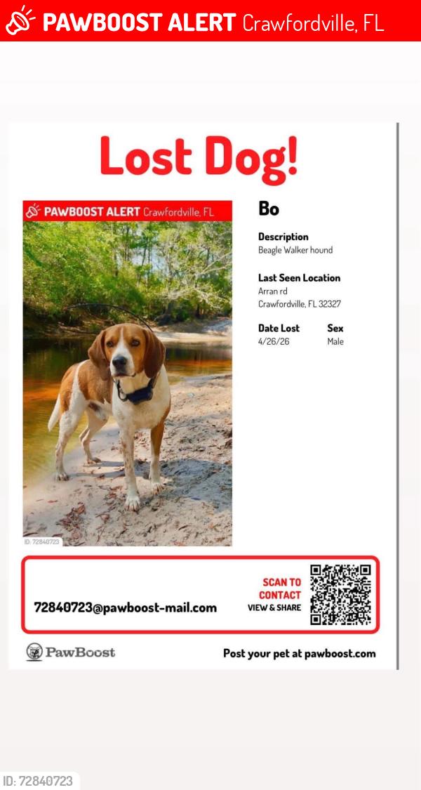 Lost Male Dog last seen Arran rd, Crawfordville, FL 32327