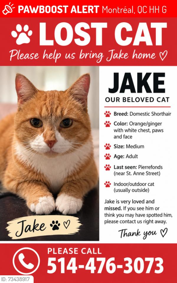 Lost Male Cat last seen St-Anne Street in Pierrefonds, Montréal, QC H9H 4G7