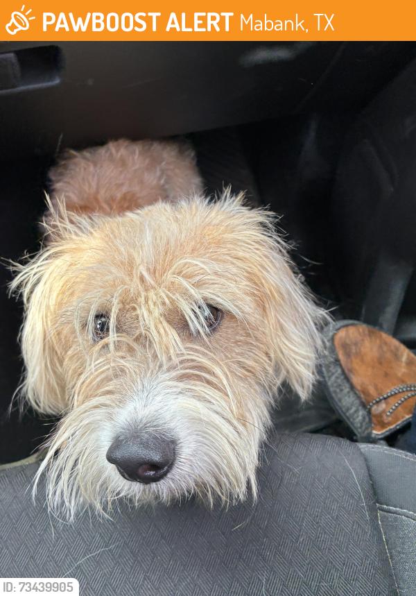Found/Stray Male Dog last seen Mason st, Mabank, TX 75147