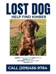 Lost Female Dog last seen Albers, Modesto, CA 95355