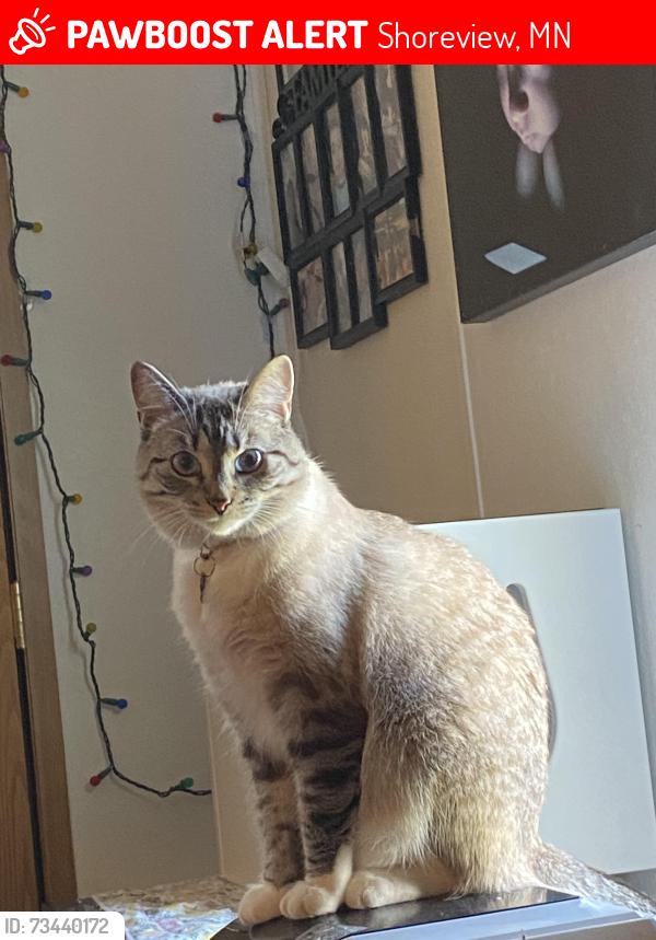 Lost Female Cat last seen Near knight street, Shoreview, MN 55126