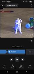 Lost Female Dog last seen Deerpath on the lake apmts, Tampa, FL 33612