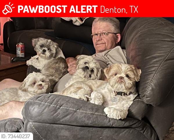 Lost Male Dog last seen Kings row, Denton, TX 76209