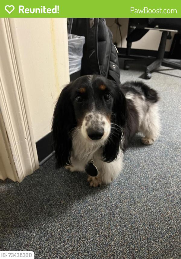 Reunited Unknown Dog last seen Memorial Dr, Houston, TX, USA, Houston, TX 77055