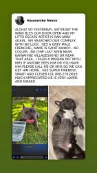 Lost Male Dog last seen Kaiwahine Villages, Kihei, HI 96753