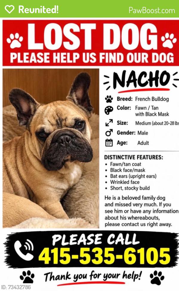 Reunited Male Dog last seen Near gellert, Daly City, CA 94015