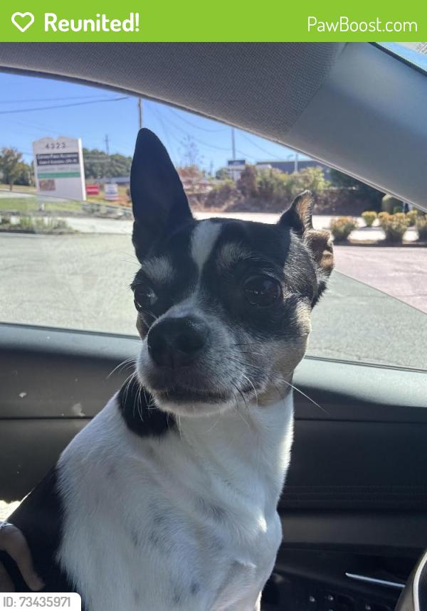 Reunited Female Dog last seen Mundy Mill Road At McEver Road, Oakwood, GA 30566