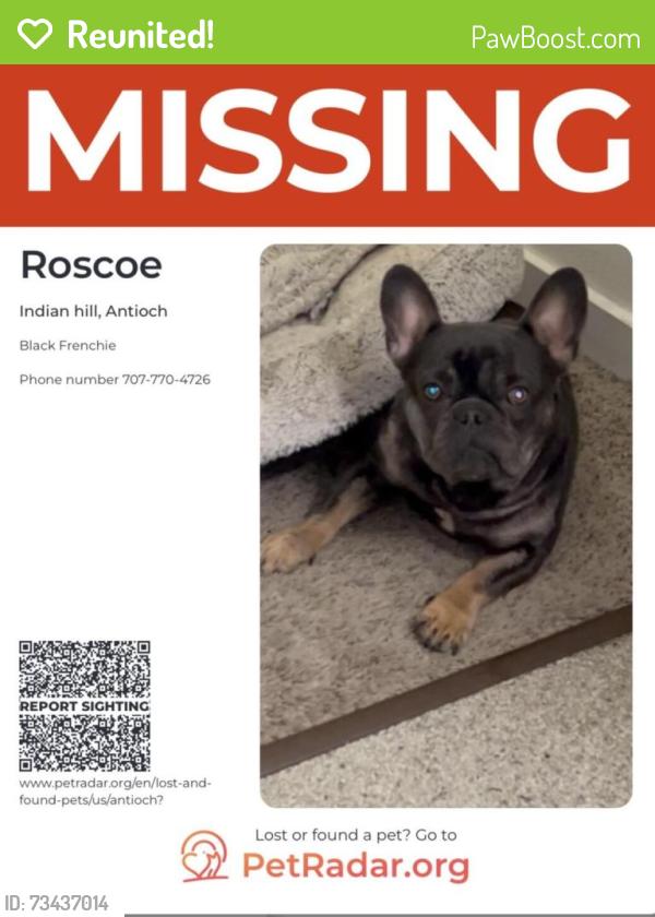 Reunited Male Dog last seen hmstd Way, Antioch, CA 94531