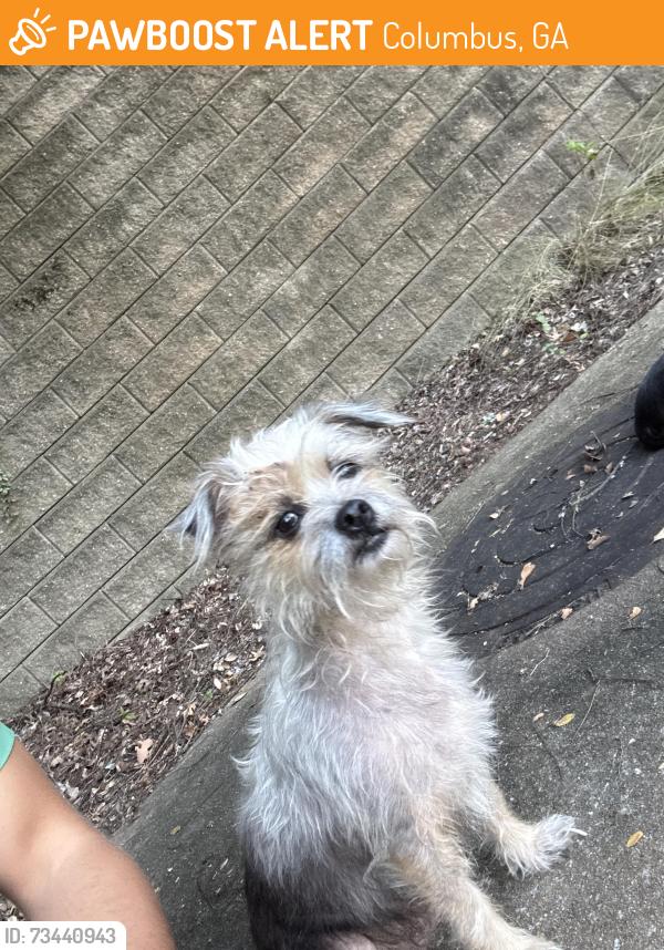 Found/Stray Female Dog last seen Near Antietam dr, Columbus, GA 31907