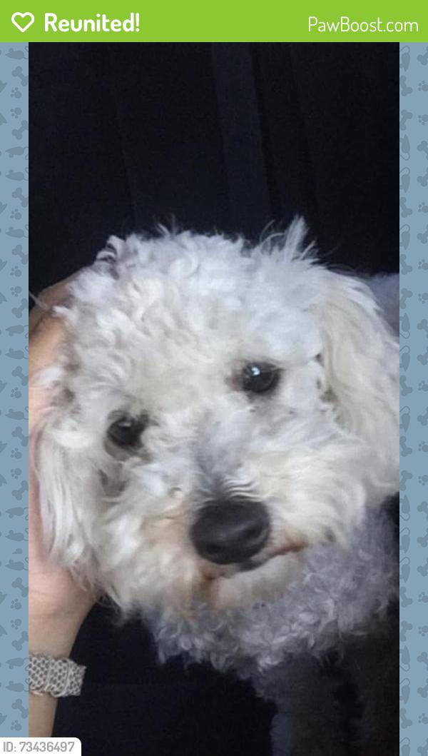 Reunited Female Dog last seen Kincaid ave, Chula Vista, CA 91913