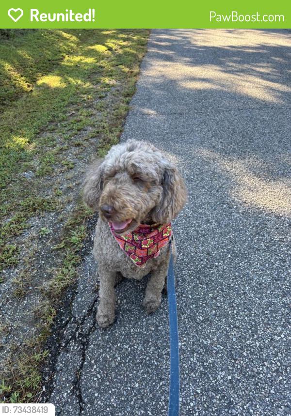 Reunited Unknown Dog last seen Old Wormley Creek, Yorktown, VA 23692