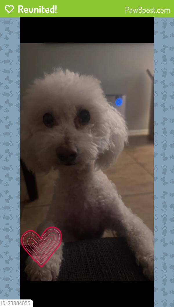 Reunited Male Dog last seen 27th Ave and Orangewood, Phoenix, AZ 85051