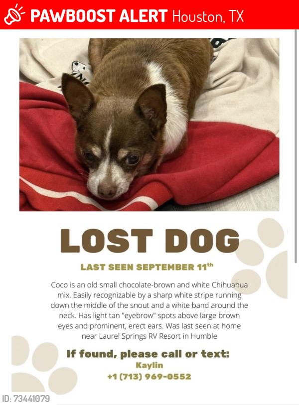 Lost Female Dog last seen Hamblen, Houston, TX 77339