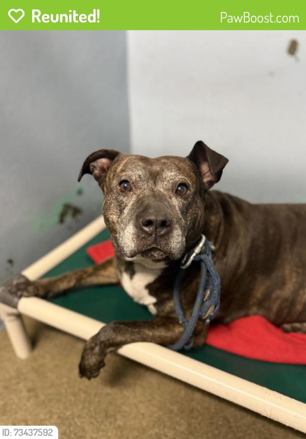 Reunited Unknown Dog last seen Highland hosp, Oakland, CA 94602