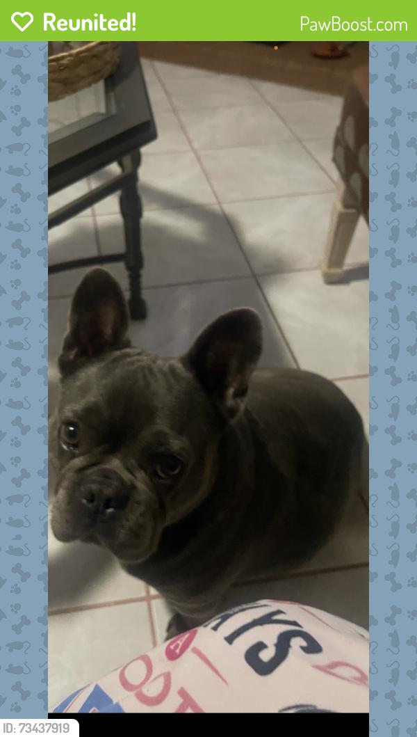 Reunited Female Dog last seen Vista Ln, San Diego, CA 92173