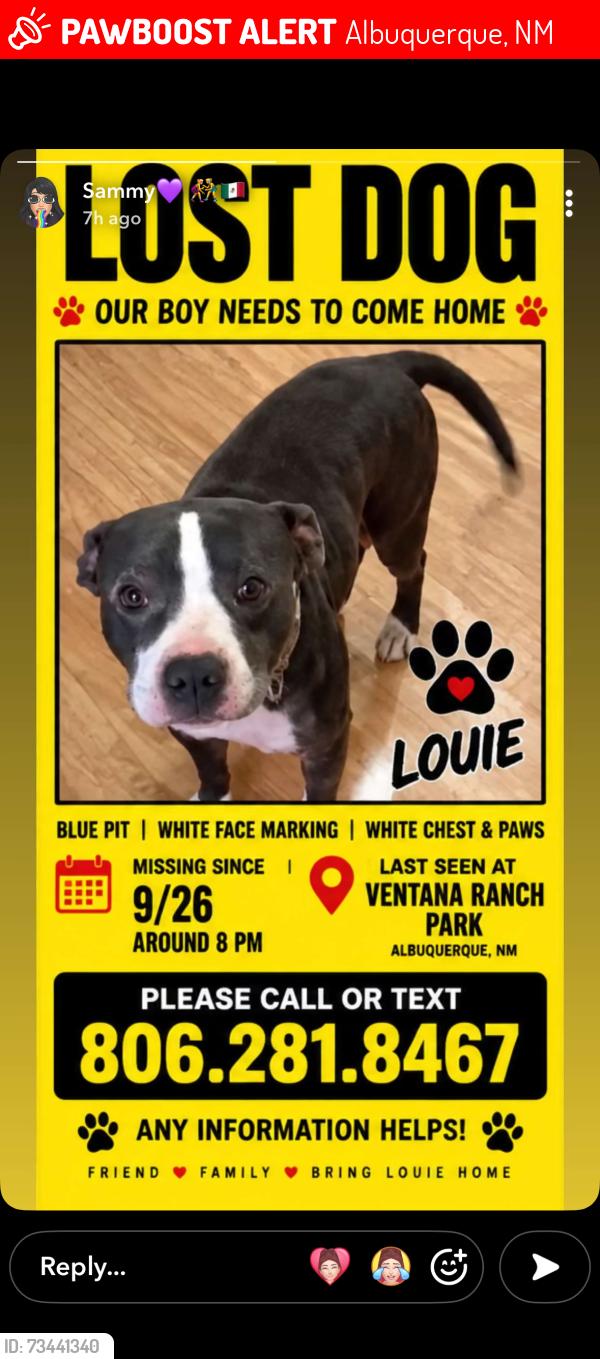 Lost Male Dog last seen Mcmahon and universw, Albuquerque, NM 87114
