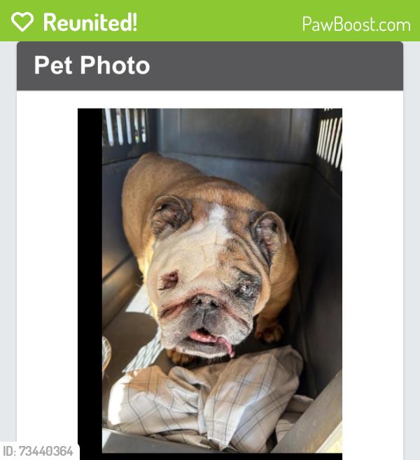 Reunited Unknown Dog last seen Walnut Creek Pike and 752, Walnut Township, OH 43103
