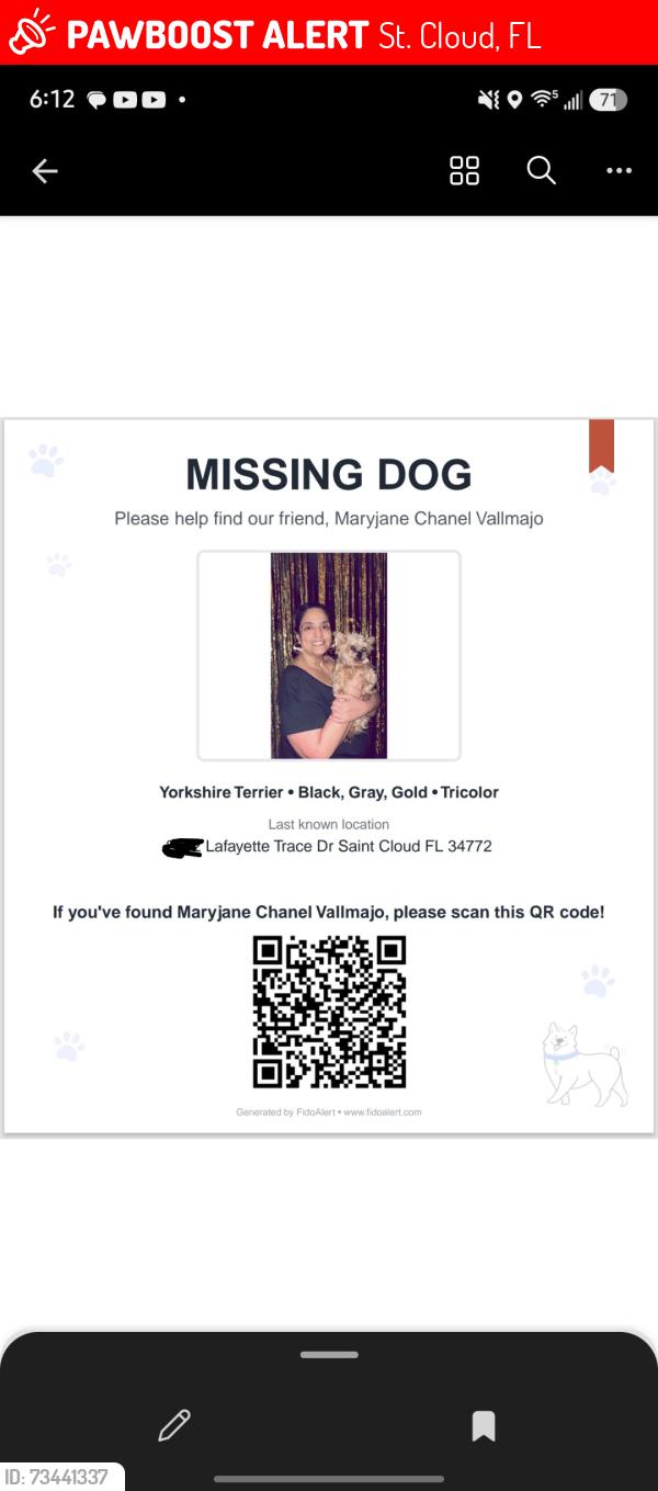 Lost Female Dog last seen Nolte and Vermont, St. Cloud, FL 34772