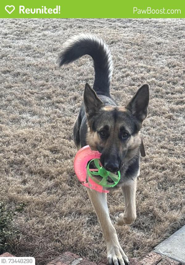 Reunited Male Dog last seen Post office in Cave Spring, Cave Spring, GA 30124