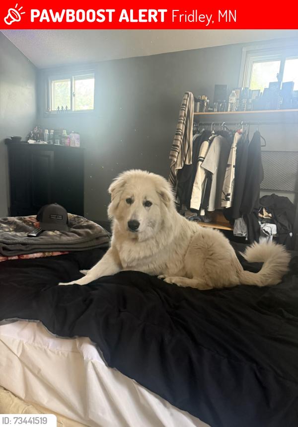 Lost Male Dog last seen Fridley, Fridley, MN 55432