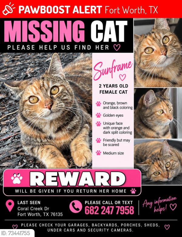 Lost Female Cat last seen Coral Creek Dr, Fort Worth, TX 76135