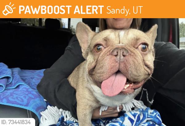 Found/Stray Male Dog last seen Near E and East Draper Parkway, Sandy, UT 84094