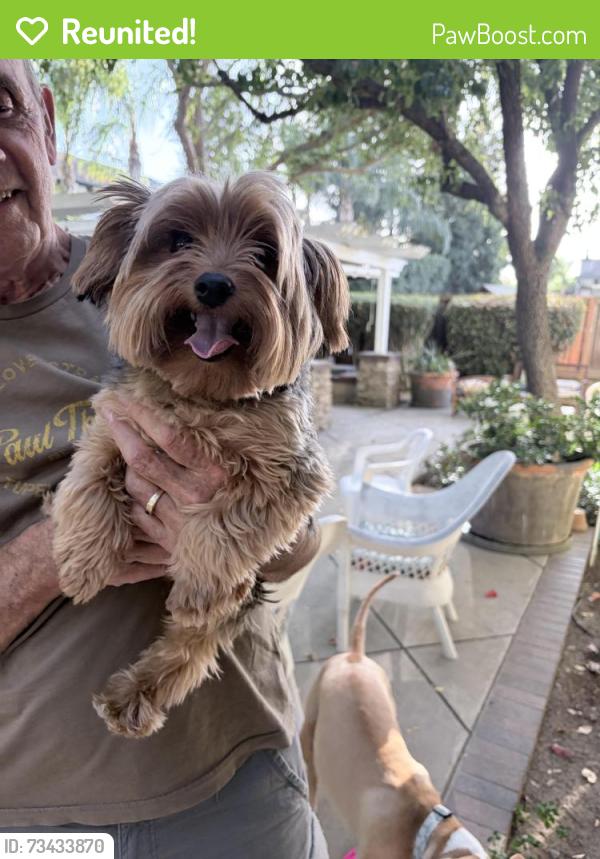 Reunited Unknown Dog last seen LaPergola and Cipriani, Brentwood, CA 94513