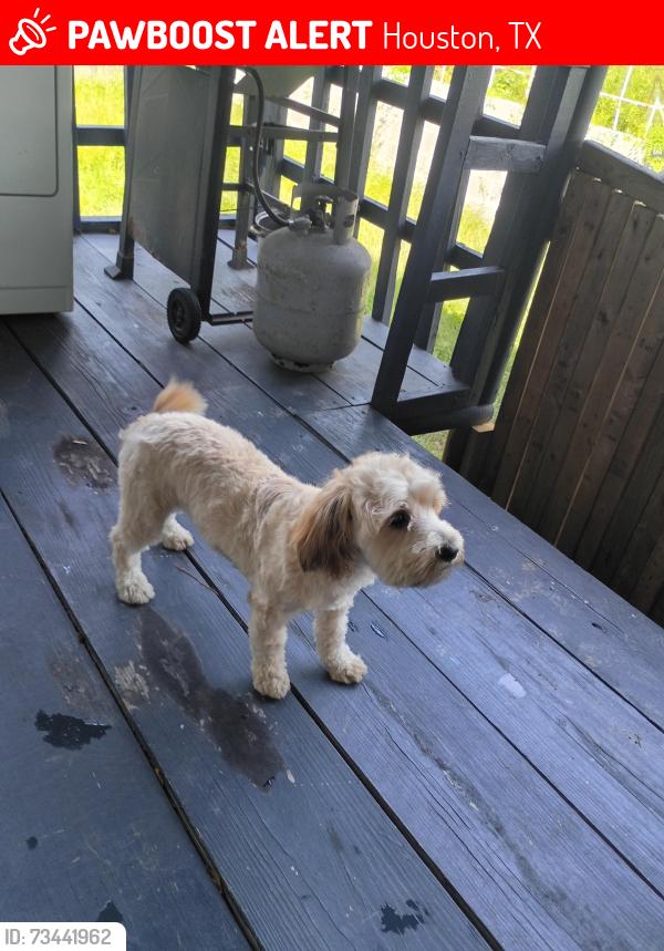 Lost Male Other last seen Near Lake bend dr, Houston, TX 77084