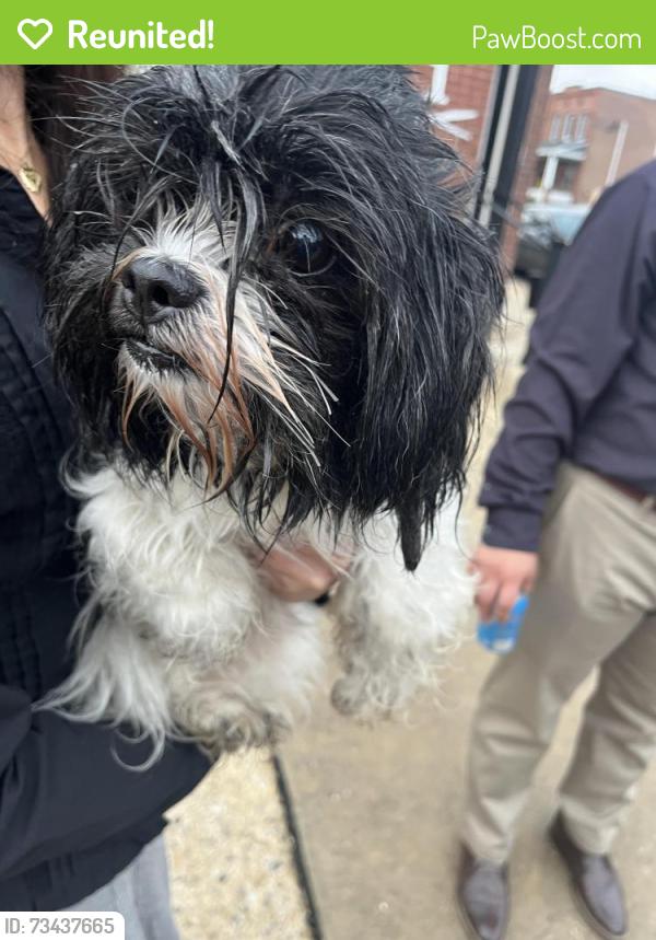 Reunited Female Dog last seen Near E Clay and N Shippen Streets, Lancaster, PA 17602
