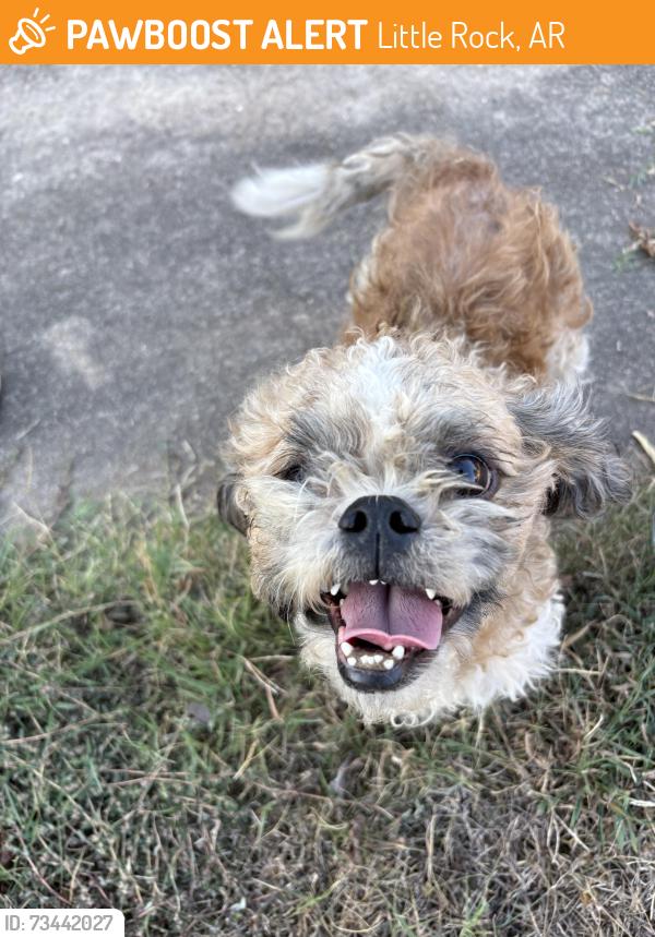 Found/Stray Male Dog last seen Greencrest Dr, Little Rock, AR 72204