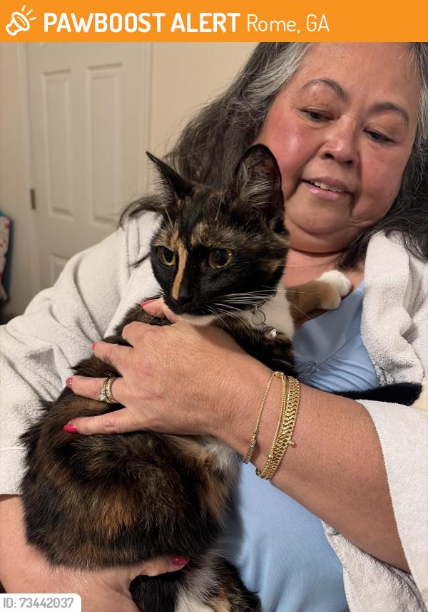 Found/Stray Female Cat last seen hummingbird place, Rome, GA 30165