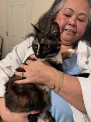 Found/Stray Female Cat last seen hummingbird place, Rome, GA 30165