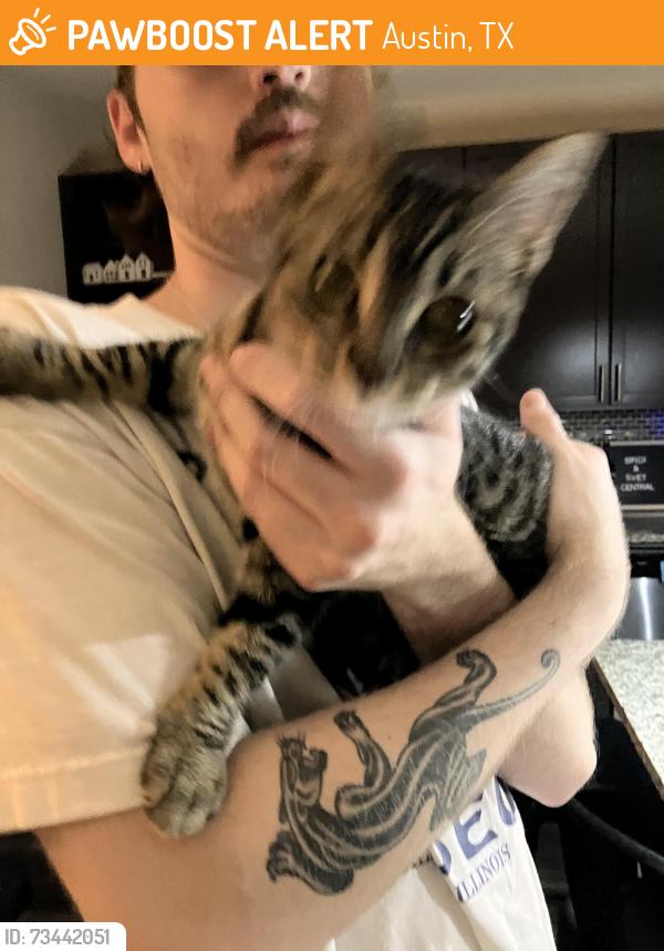 Found/Stray Female Cat last seen near broken spoke, Austin, TX 78704