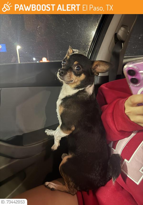 Found/Stray Male Dog last seen Montwood, El Paso, TX 79936