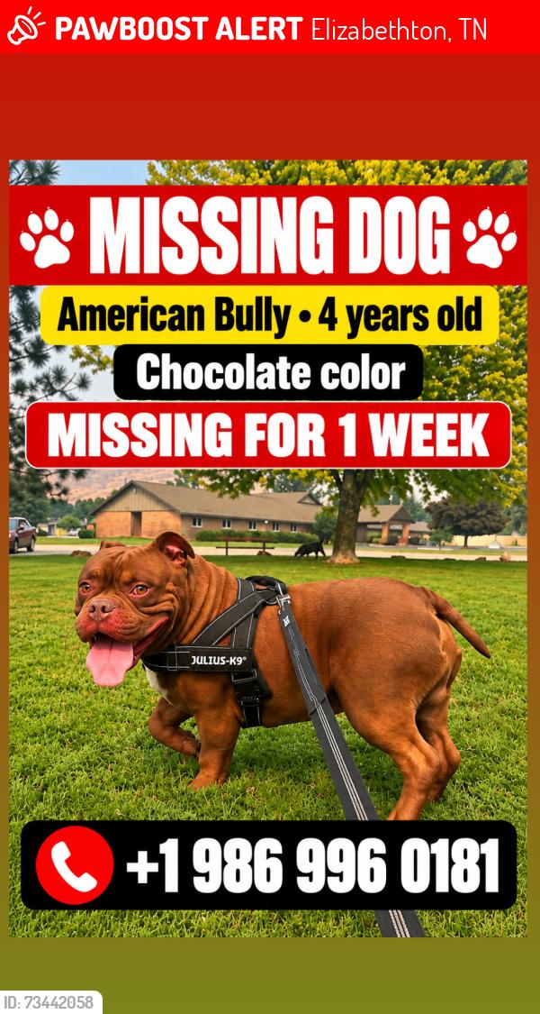 Lost Male Dog last seen Pierce Park trial, Elizabethton, TN 37643
